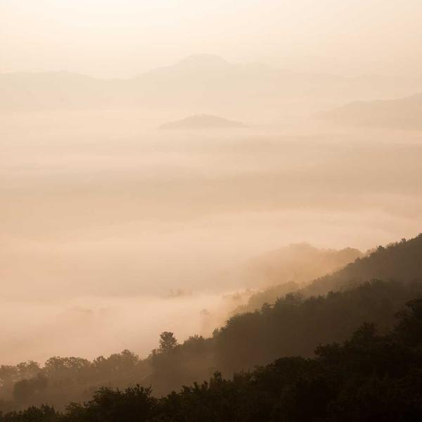 Paint mixing station with colorful art supplies