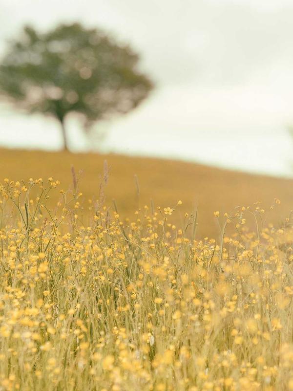 Colorful rainbow fingerprint art by young students
