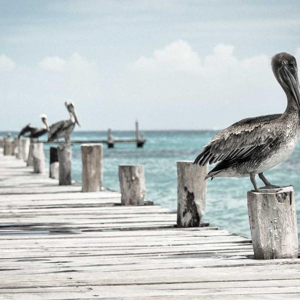 Saturday morning art class in session at the studio